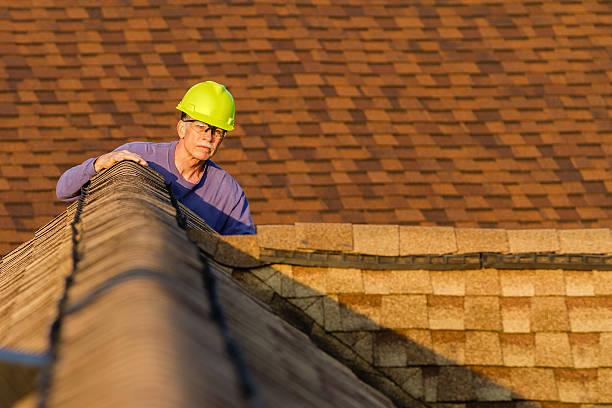 Best Roof Maintenance Services  in Homer Glen, IL
