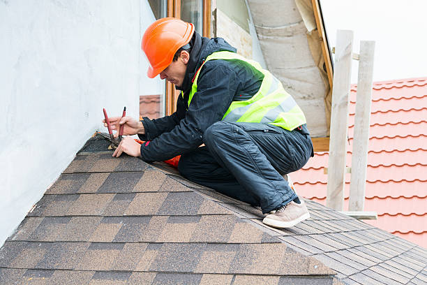 Best Flat Roof Repair Services  in Homer Glen, IL